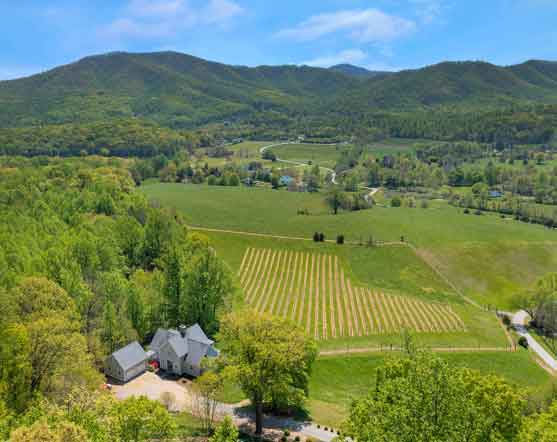 Aerial view of a picturesque vineyard in a lush valley, with rows of grapevines stretching across rolling hills. A charming farmhouse with a gray roof sits at the edge of the property, surrounded by dense forest. Majestic mountains provide a stunning backdrop to this idyllic countryside setting.