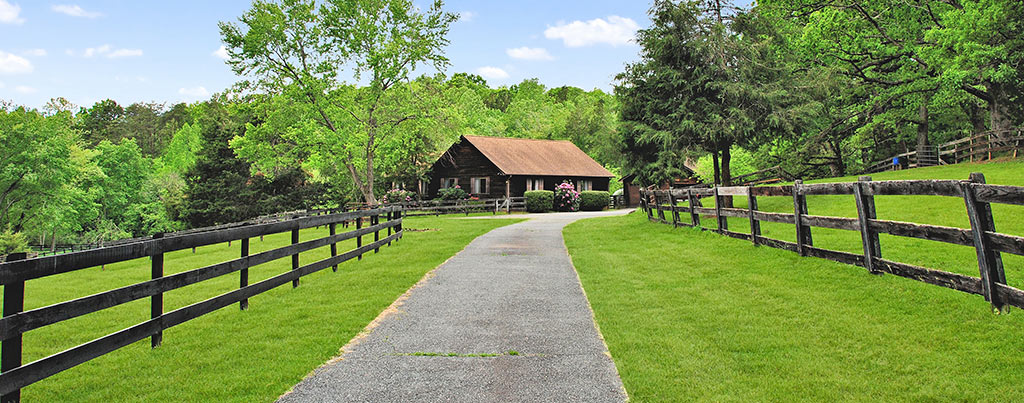 Bayridge Farm