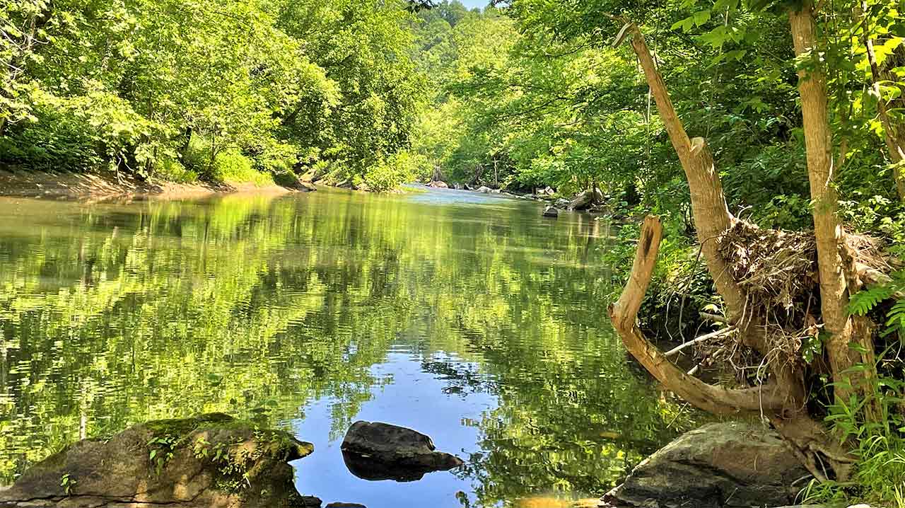 Beautiful Rockfish River