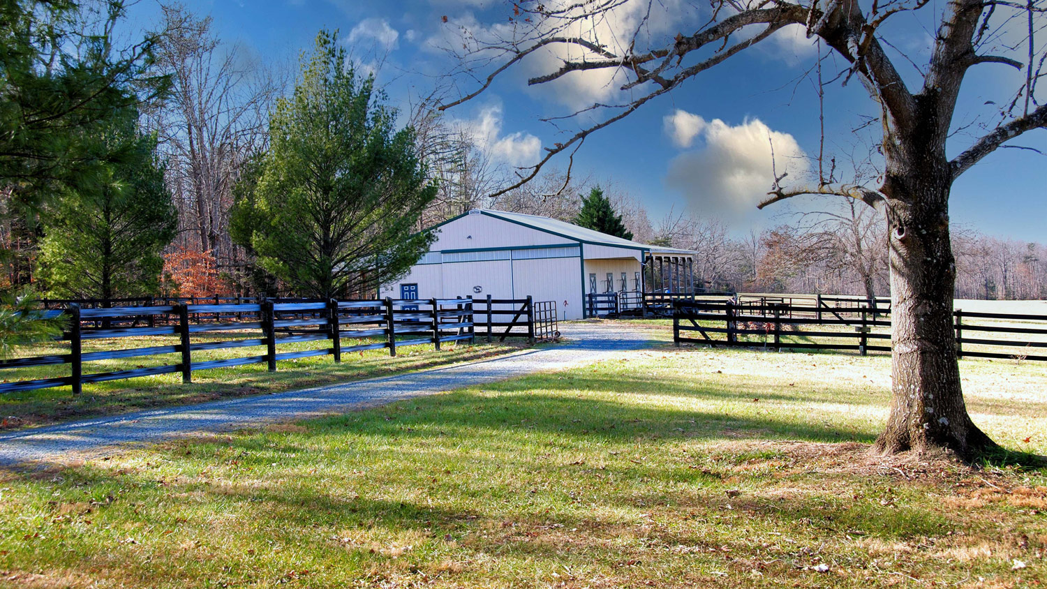 Gaited Meadow