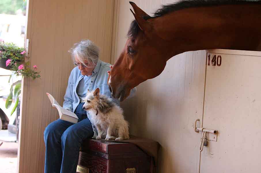 A quiet moment in the barn: a woman reads with her small dog while a bay horse leans in affectionately from the stall.