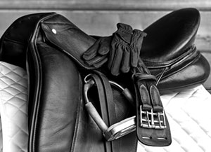 Saddle