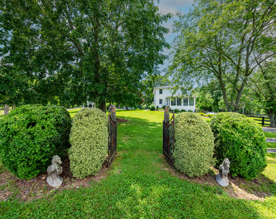 Virginia Horse Farm