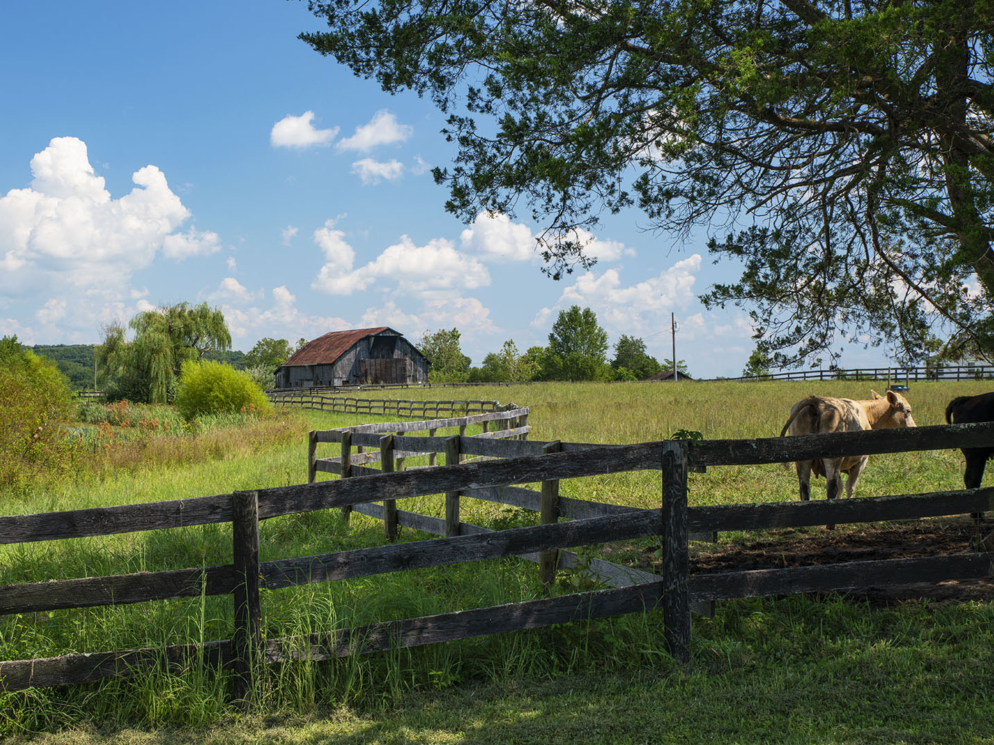 Lovell Farm