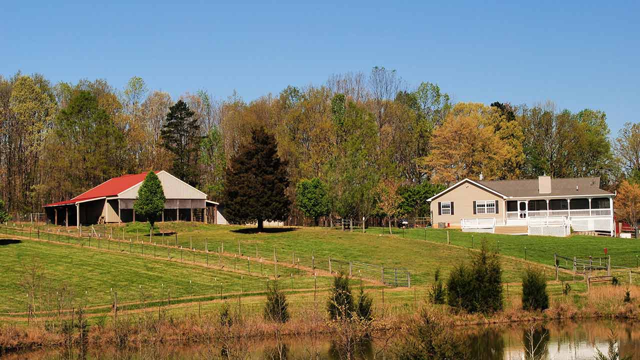 Palmyra Hill Farm