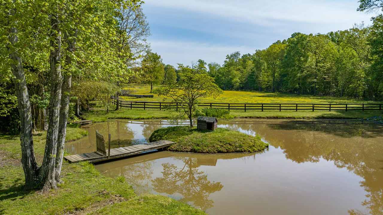 Pond With Bridge