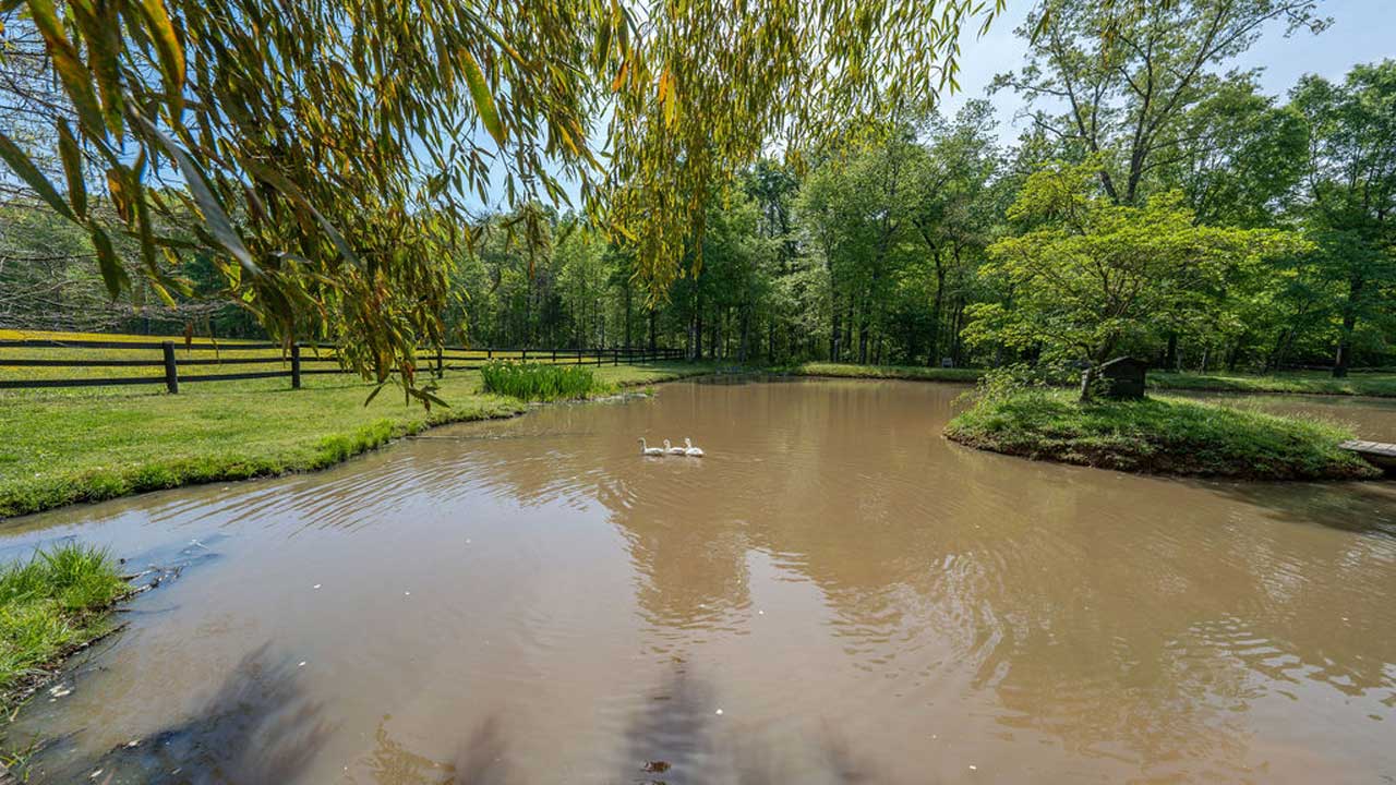 Pond With Bridge