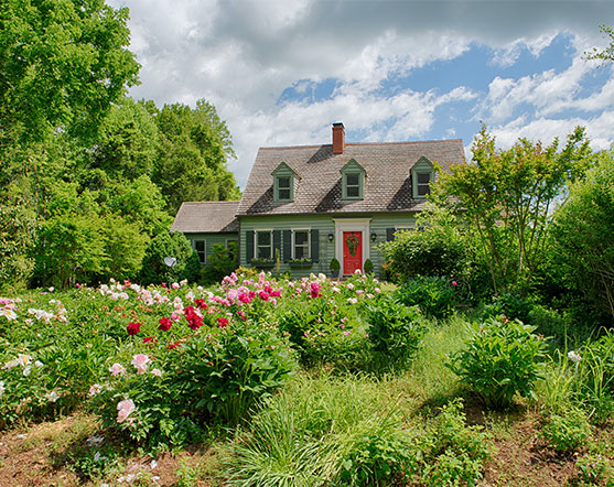 A rustic farmhouse with white siding, multiple chimneys, and a mix of metal and shingle roofing, set against a backdrop of mature trees and a blue sky. The home features a large stone chimney on one side, a long enclosed porch, and a basement entry with cellar doors. The surrounding lawn is lush and green, adding to the property's peaceful rural charm.