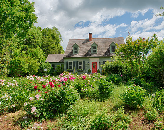 Woodbound Farm